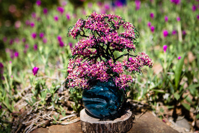 Pink dogwood with glimmer orb